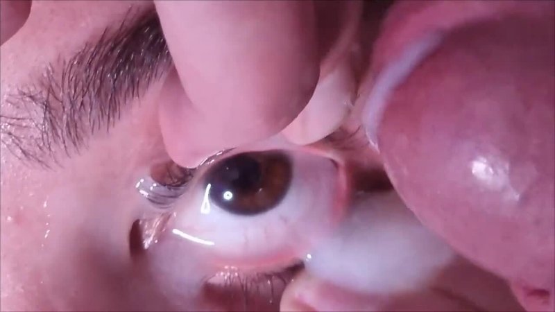 Elise Gold dogs and sex and movies — sex porn video, 22:42