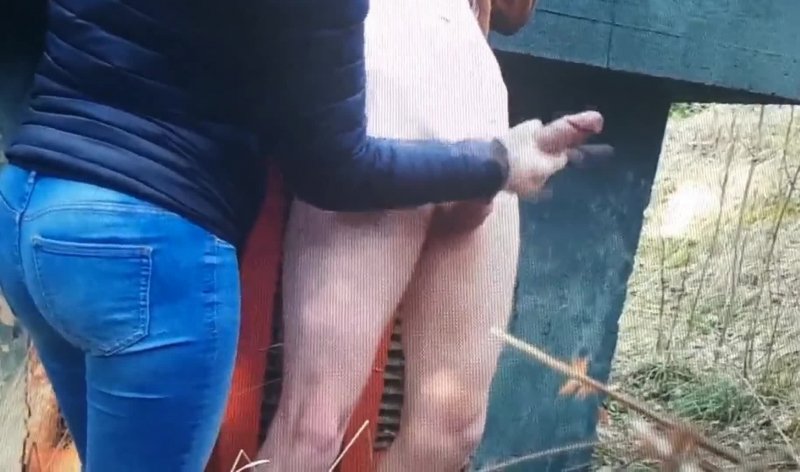 free pics of shemales bbw