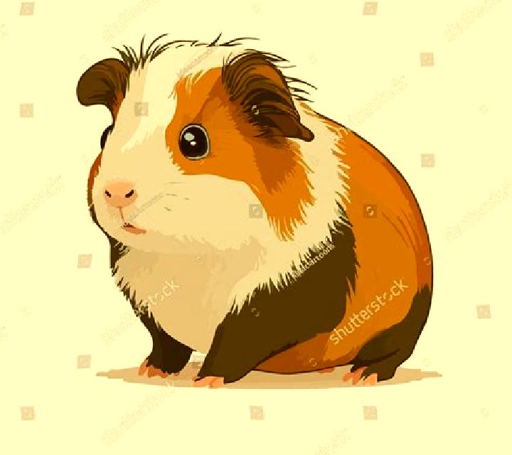 Ameliebober model portrait