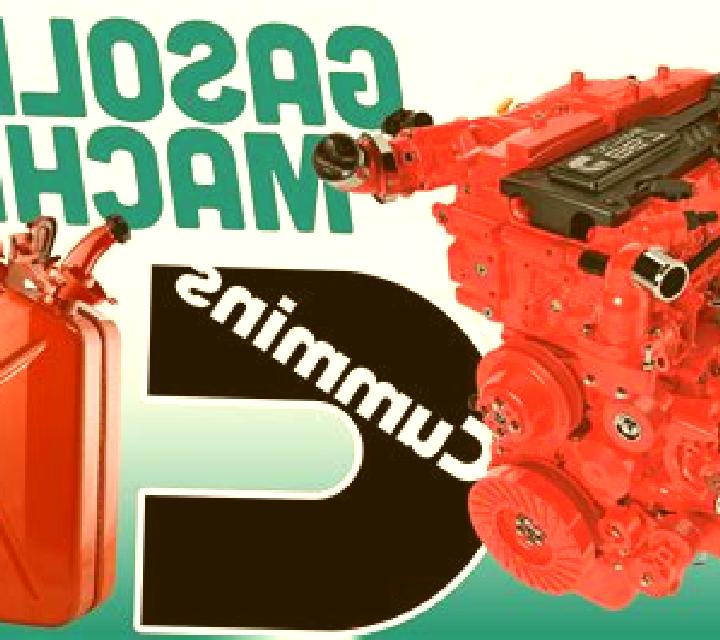 Channel Robins model portrait