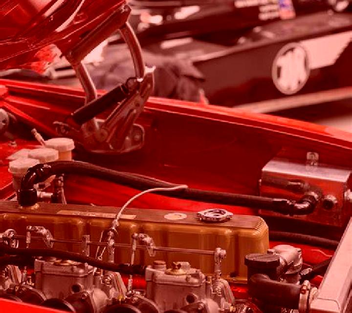 Gaby Martiz model portrait