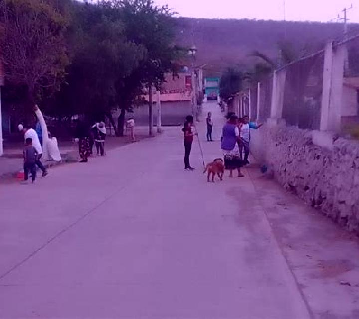 Mika Luu model portrait